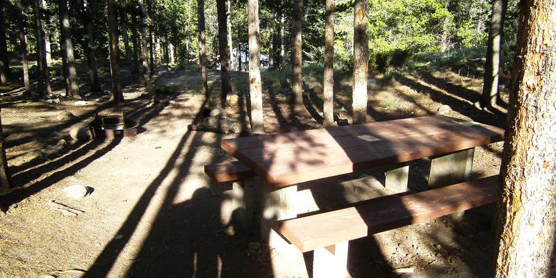 Camper submitted image from Limber Pine