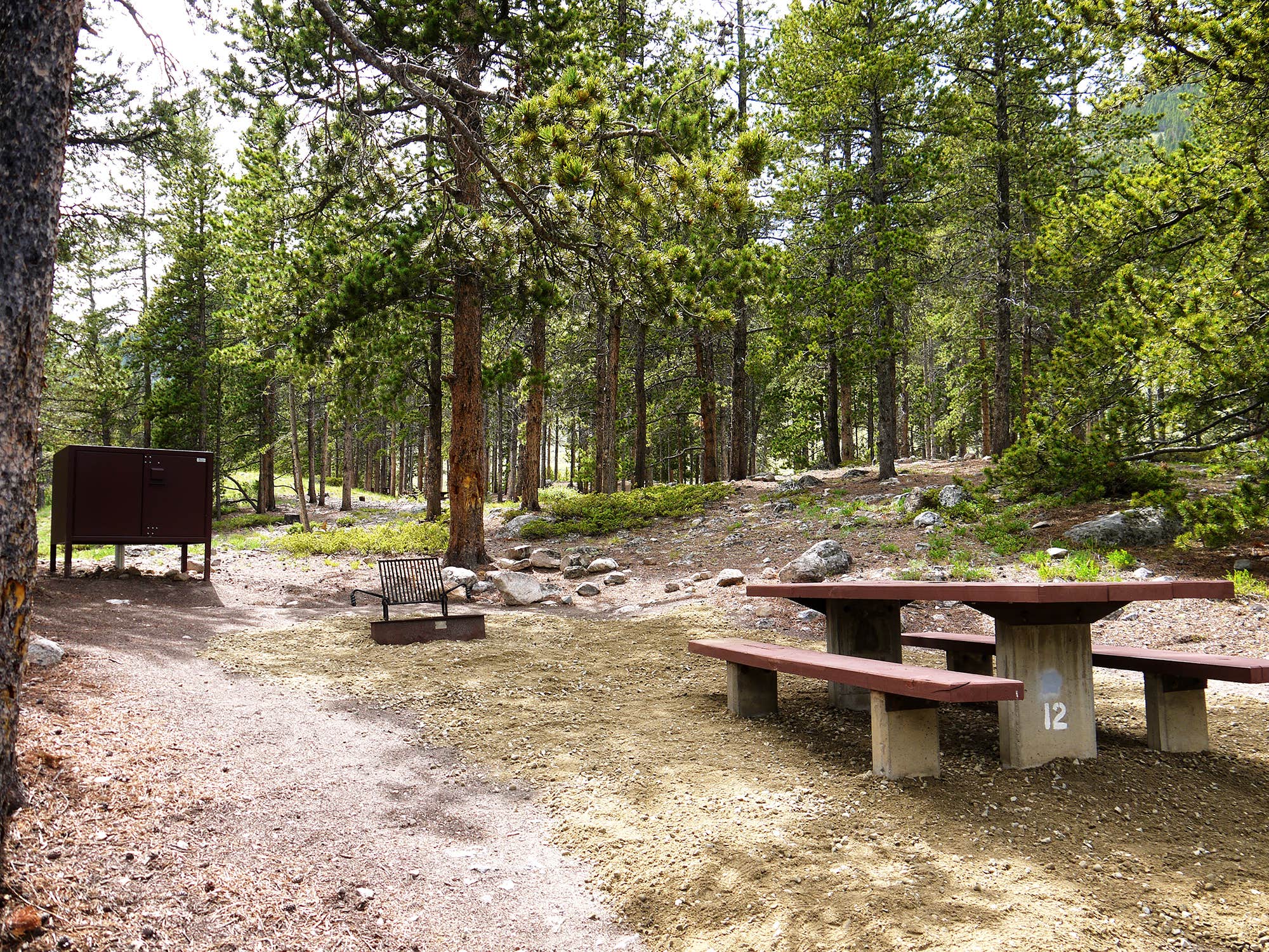 Leah D.'s photo at Limber Pine near Red Lodge, MT