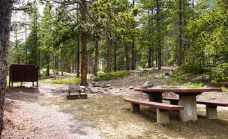 Leah D.'s photo at Limber Pine near Red Lodge, MT
