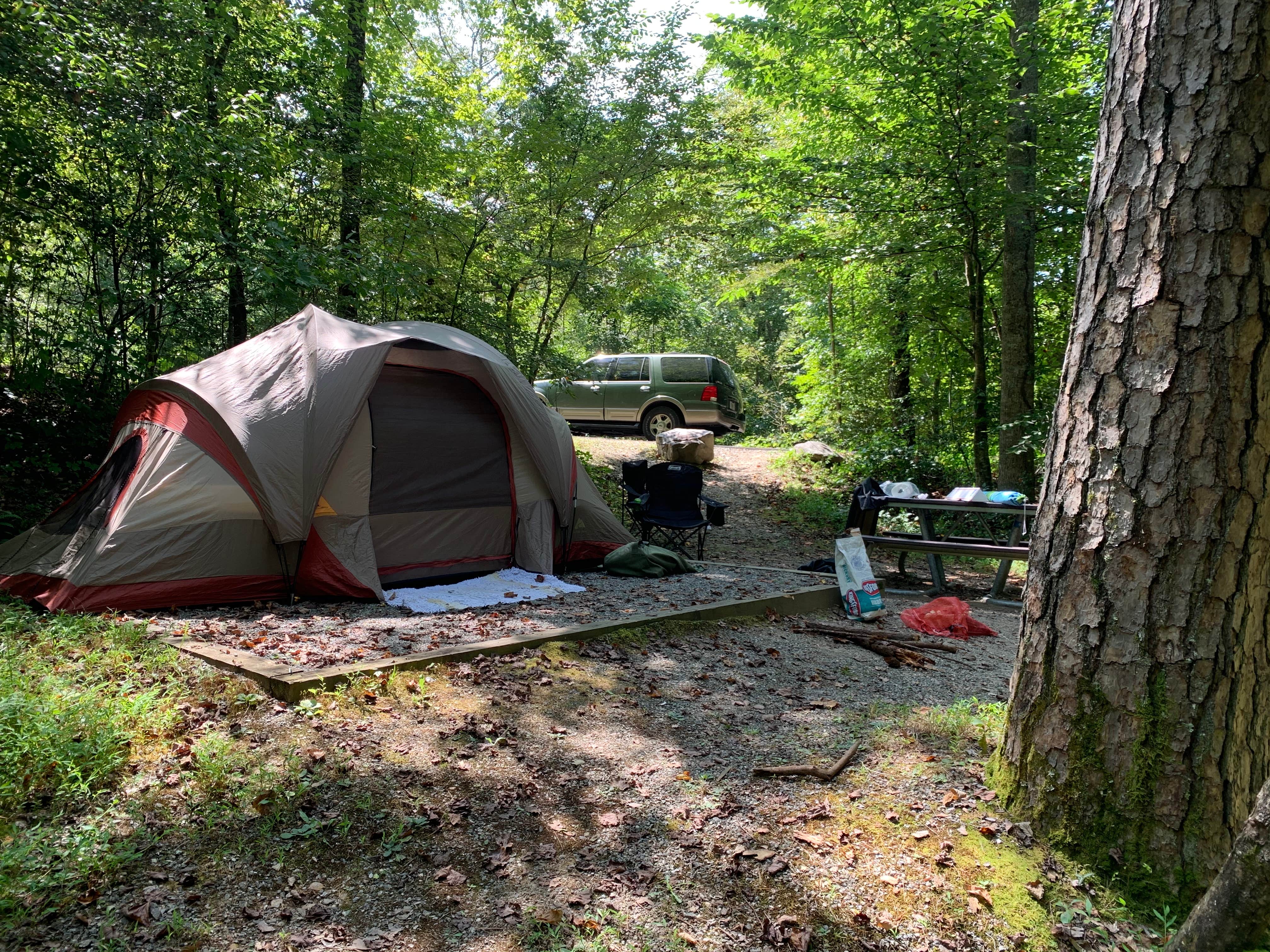 Stephani's photo at Deep Creek Campground — Great Smoky Mountains National Park near Great Smoky Mountains National Park