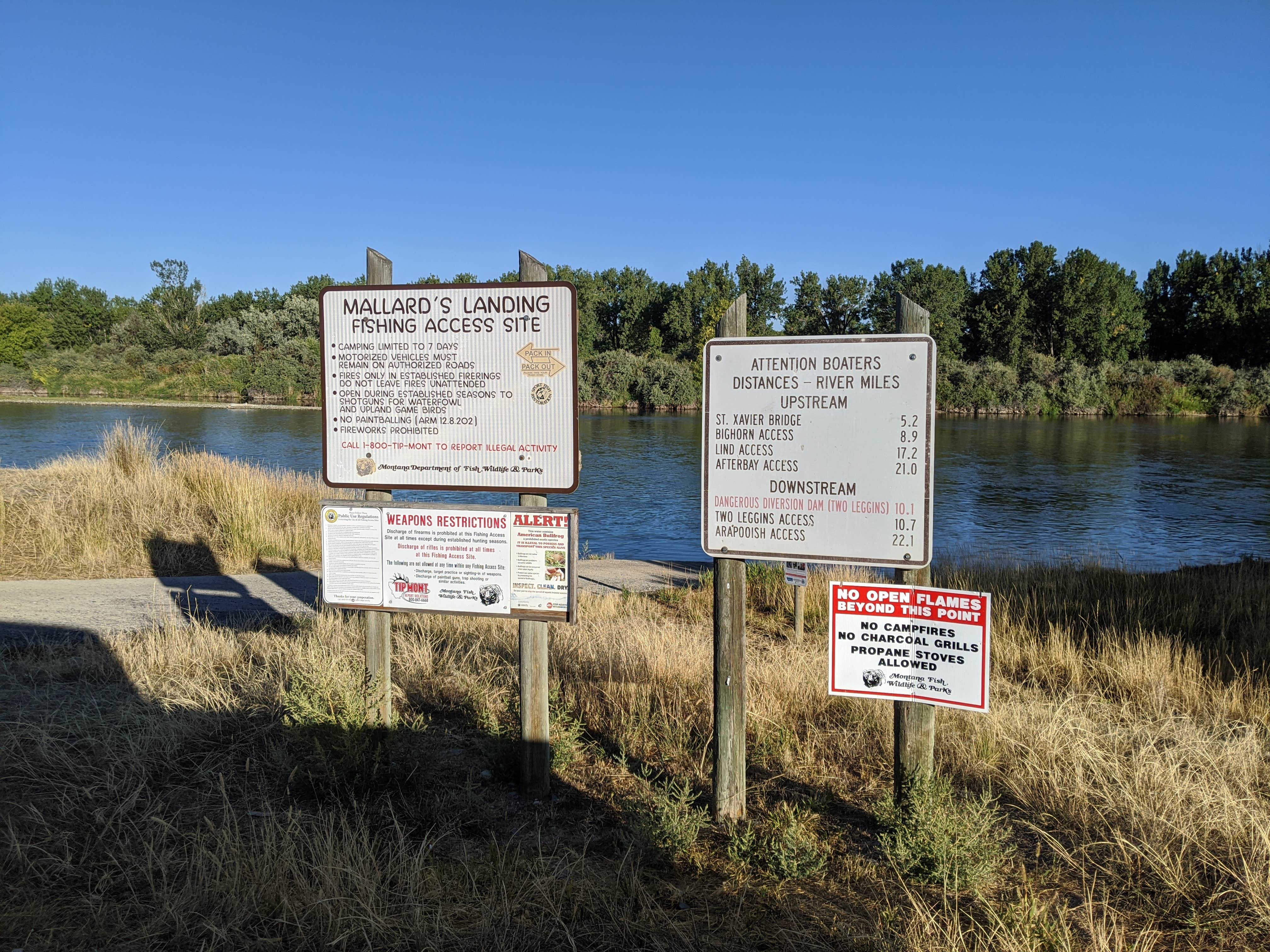 Camper submitted image from Mallards Landing - 3