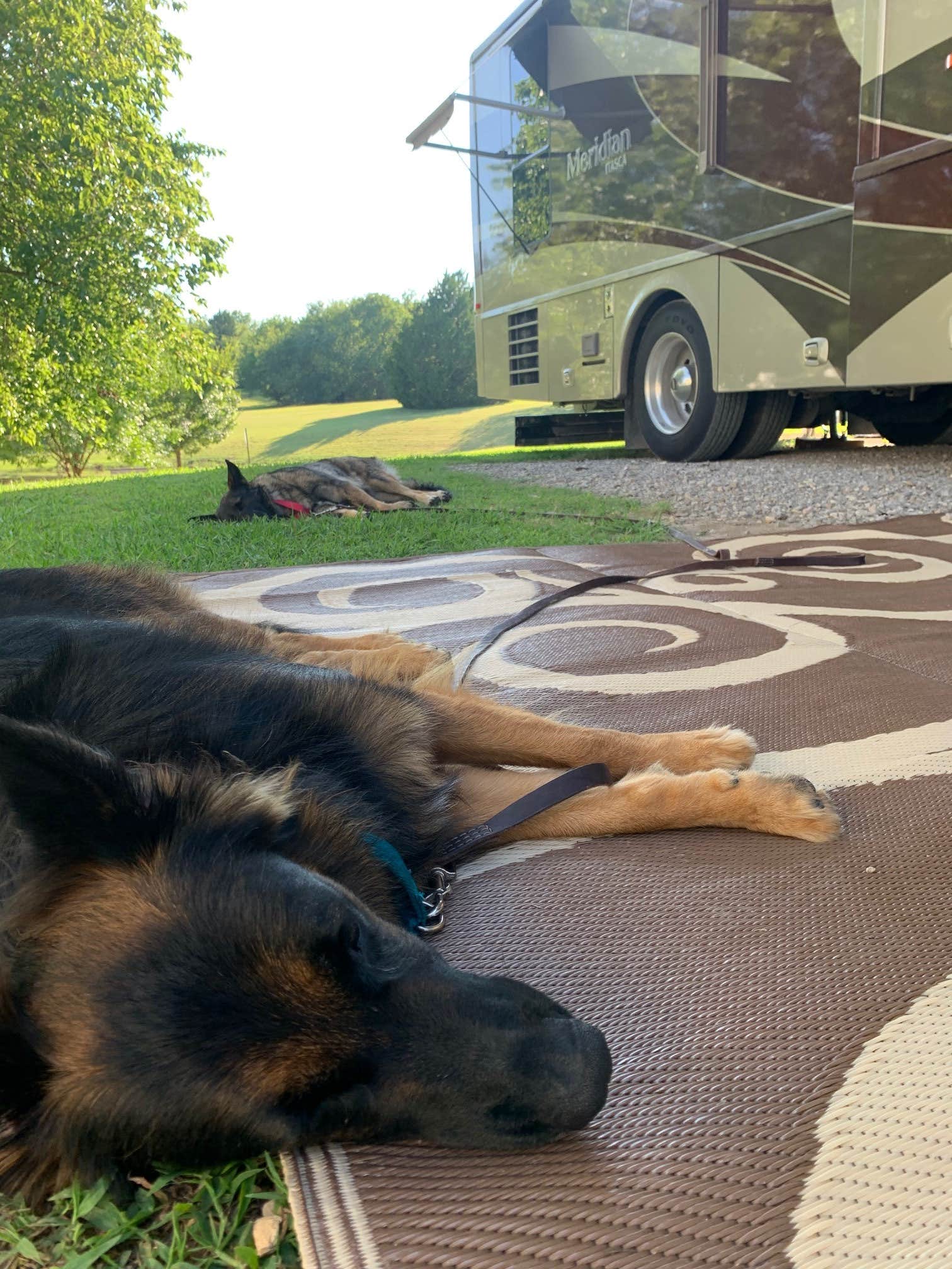 Txmohawk's photo of camping with pets at Arbuckle RV Resort near Chickasaw National Recreation Area