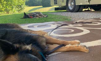 Txmohawk's photo of camping with pets at Arbuckle RV Resort near Sulphur, OK