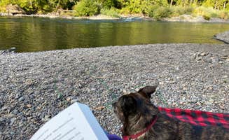 Sarah S.'s photo of camping with pets at Black Canyon Campground - Willamette NF near Walterville, OR