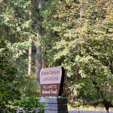 Review photo of Black Canyon Campground - Willamette NF by Sarah S., September 11, 2020