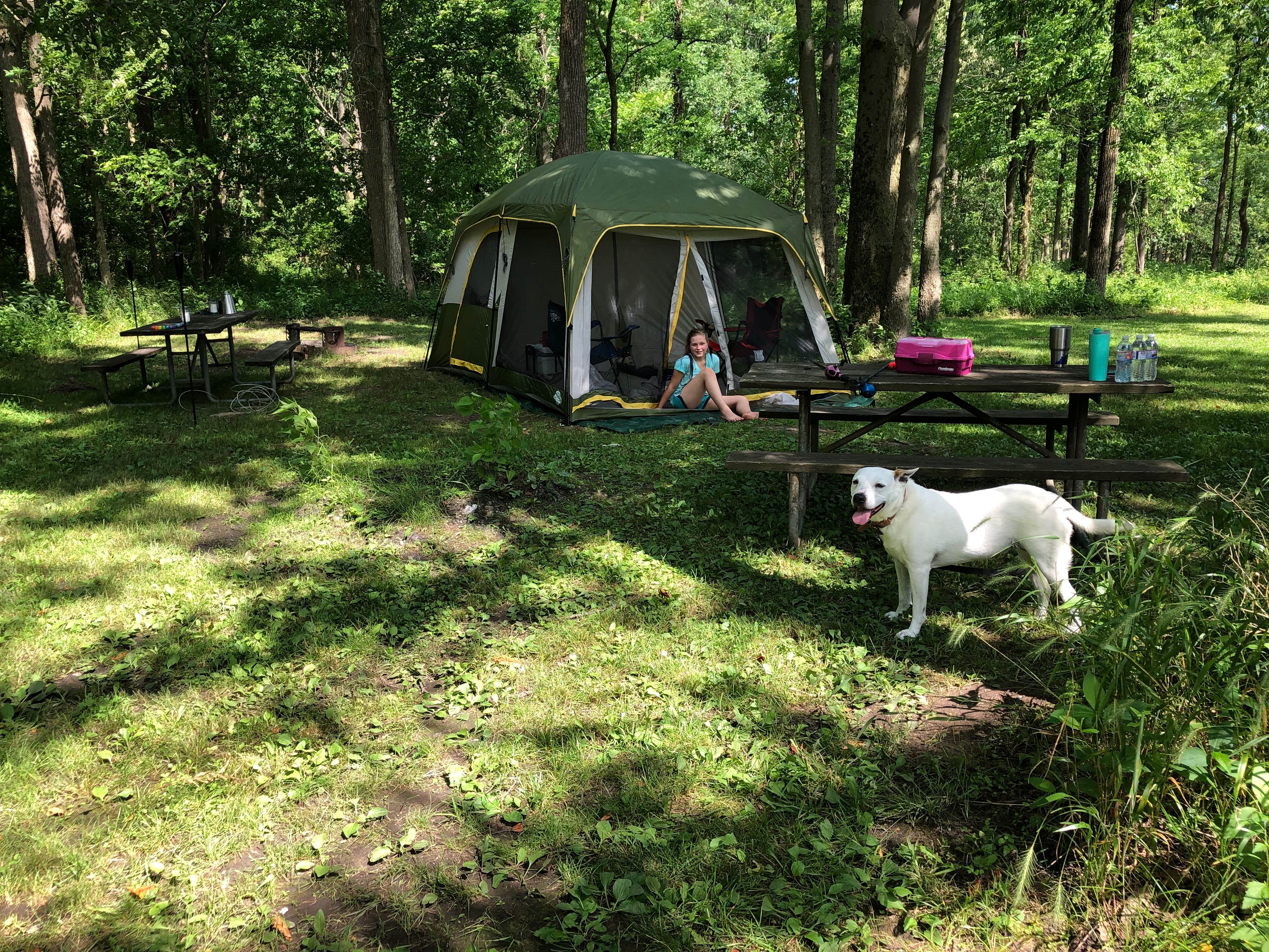 Cassandra  I.'s photo at Kickapoo State Recreation Area near Attica, IN