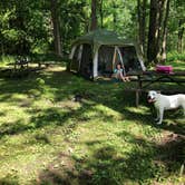 Review photo of Kickapoo State Recreation Area by Cassandra  I., September 11, 2020