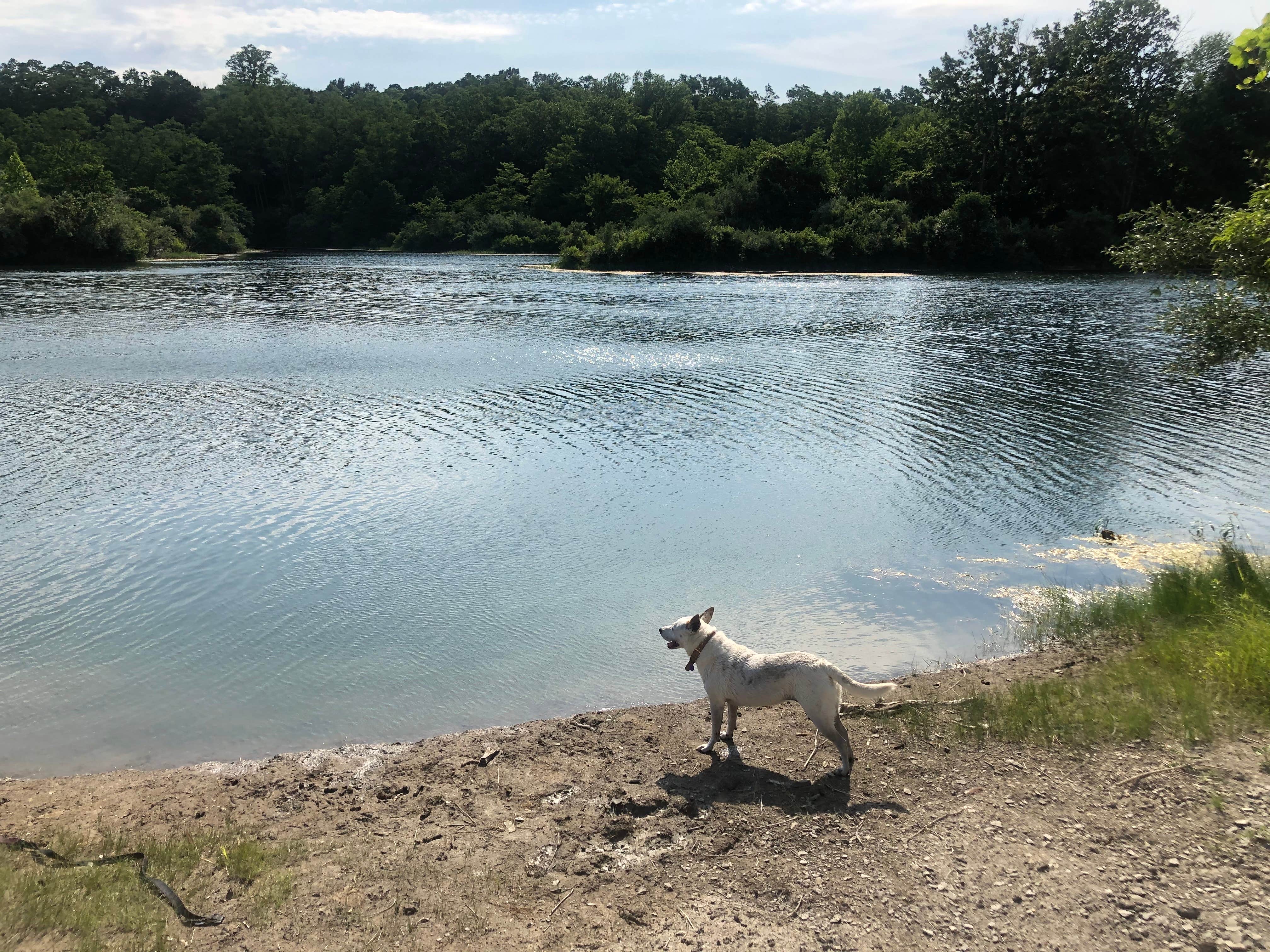 Camper-submitted photo at Kickapoo State Recreation Area in Illinois