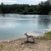 Review photo of Kickapoo State Recreation Area by Cassandra  I., September 11, 2020