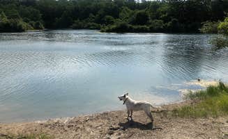 Cassandra I.'s photo of camping with pets at Kickapoo State Recreation Area near Savoy, IL