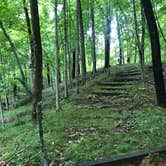 Review photo of Kickapoo State Recreation Area by Cassandra  I., September 11, 2020