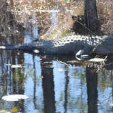 Review photo of Stephen C. Foster State Park Campground by Joel R., September 11, 2020