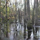 Review photo of Stephen C. Foster State Park Campground by Joel R., September 11, 2020