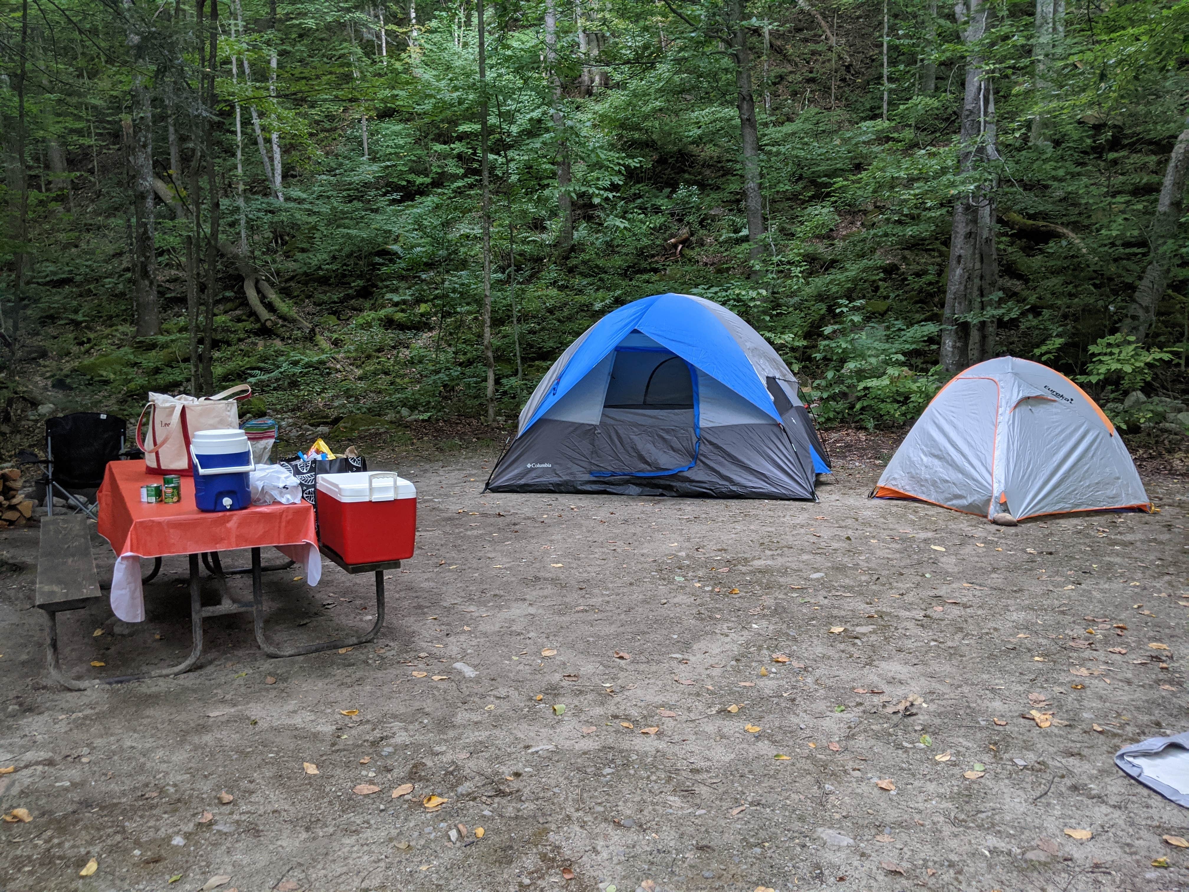 Jamaica State Park photo 3