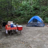 Review photo of Emerald Lake State Park Campground by Douglas L., September 12, 2020