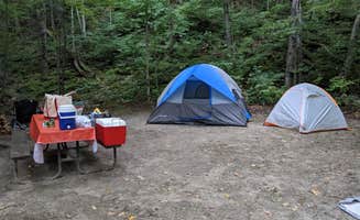 Douglas L.'s photo at Emerald Lake State Park Campground near Sunderland, VT