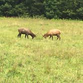 Review photo of Smokemont Campground — Great Smoky Mountains National Park by Scott K., September 12, 2020