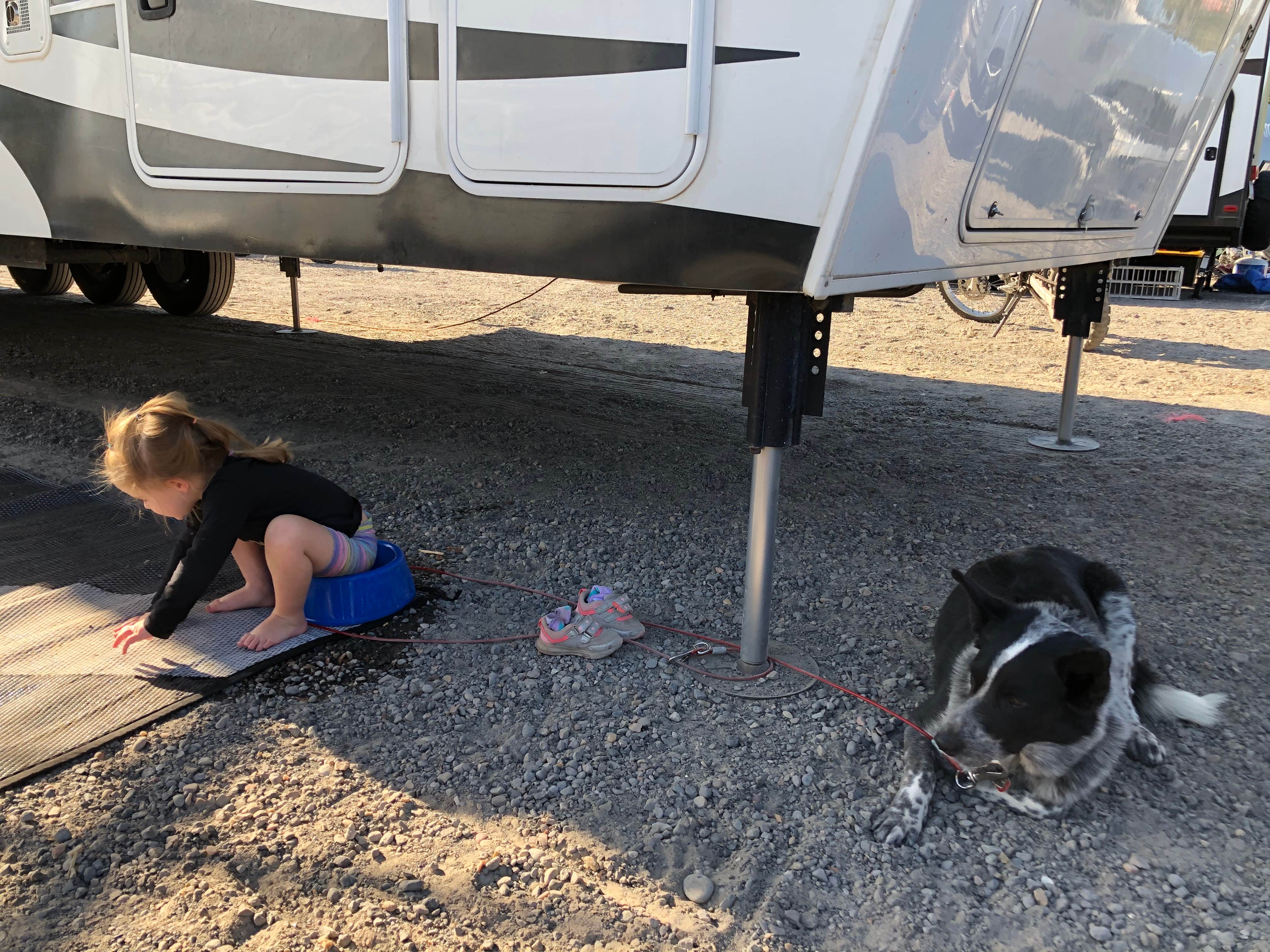 Sheena S.'s photo of camping with pets at Egin Lakes near Idaho Falls, ID