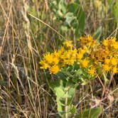 Review photo of Buffalo Gap Campground (ND) by Dana K., September 12, 2020