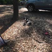 Review photo of Jekyll Island Campground by Dwayne B., May 16, 2018