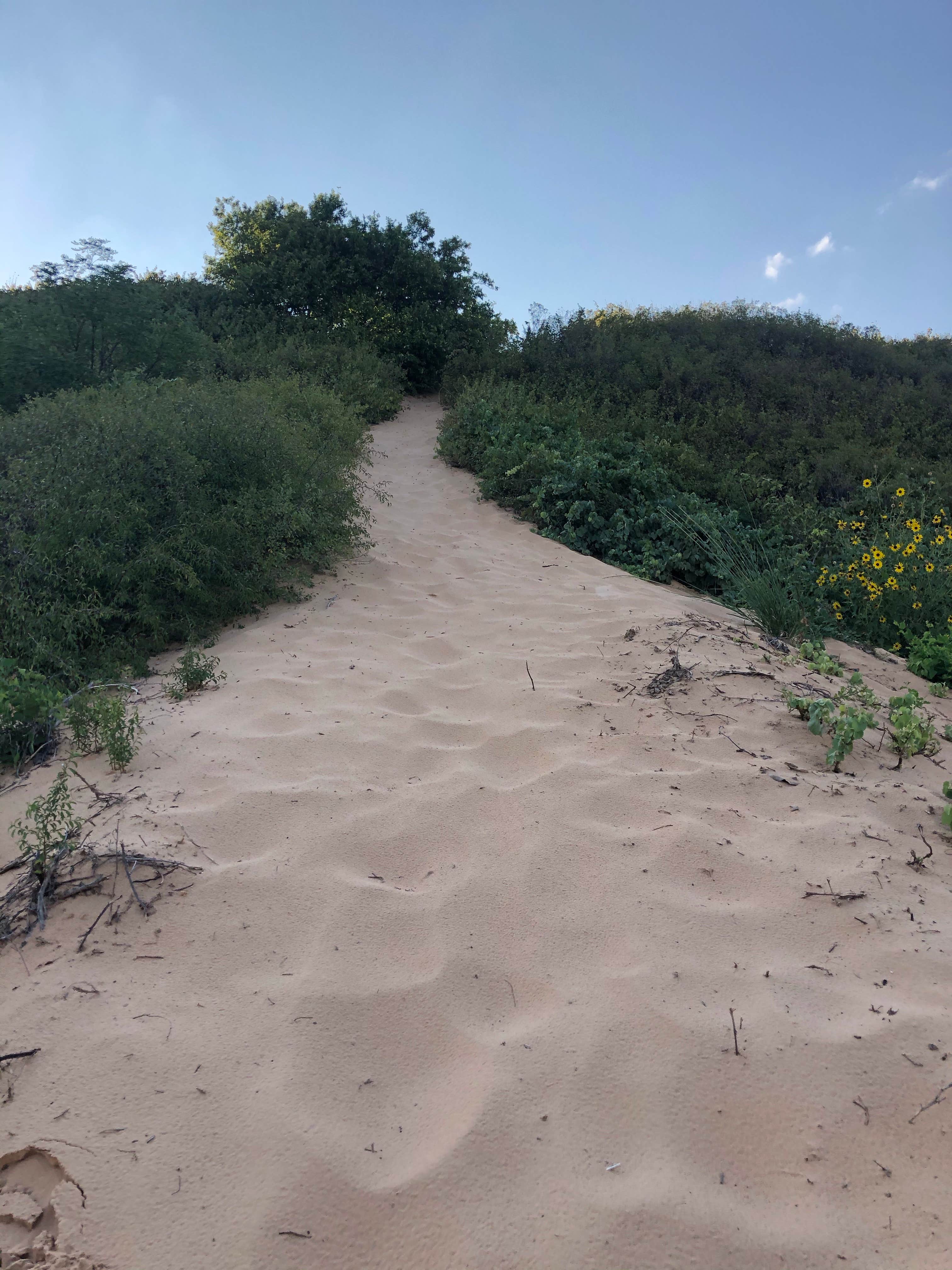 Camper submitted image from Beaver Dunes Park Campground - 5