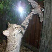 Review photo of Hitchcock County Nature Center by Tony B., September 12, 2020