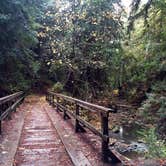 Review photo of Lower Blooms Creek — Big Basin Redwoods State Park — CAMPGROUND CLOSED by Carly O., May 16, 2018