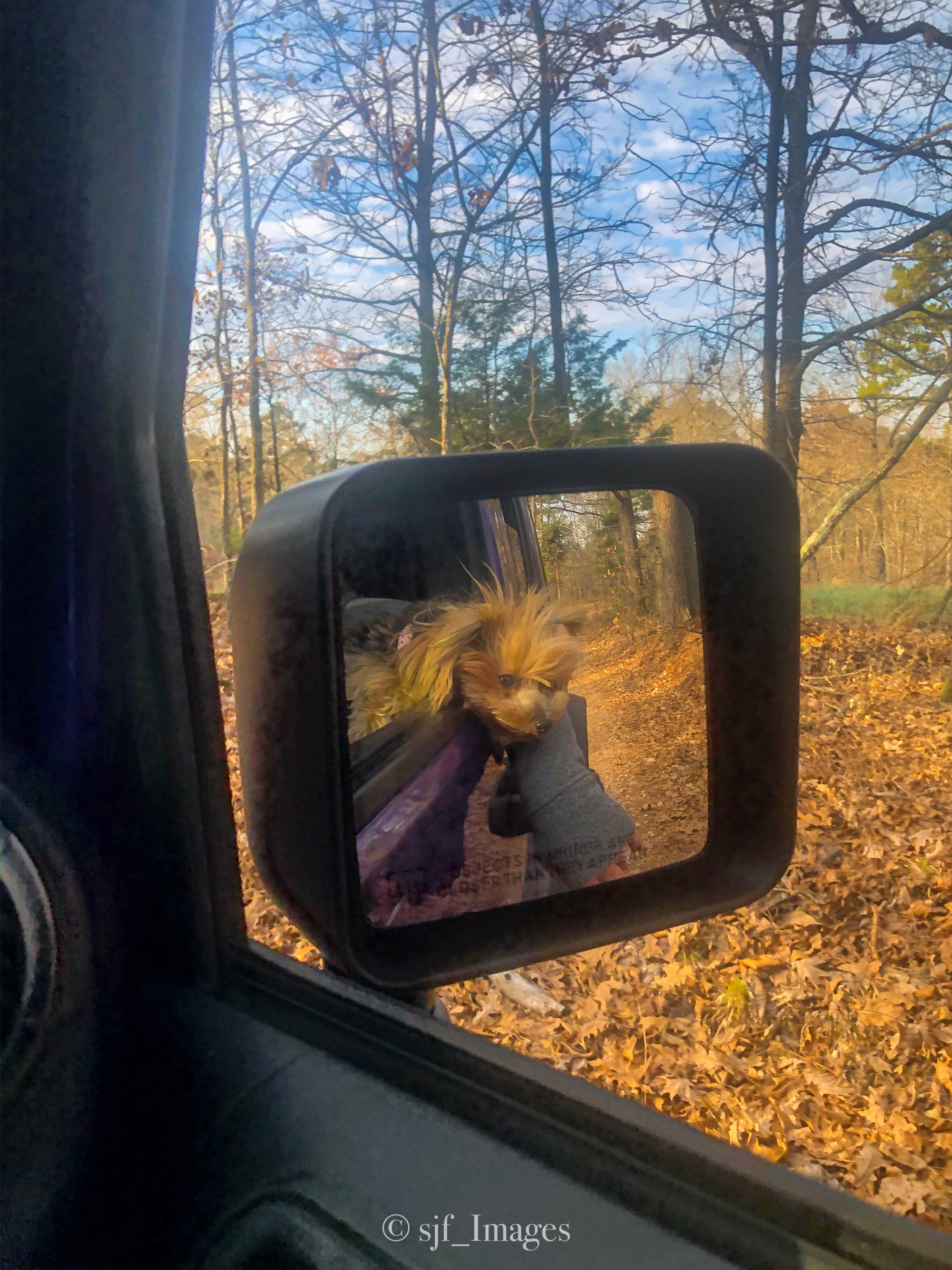 Camper-submitted photo at COE / Beaver RV Park & Camp near Cassville, MO