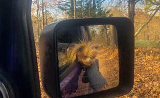John F.'s photo of camping with pets at COE / Beaver RV Park & Camp near Eureka Springs, AR