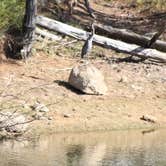 Review photo of Chattahoochee Bend State Park Campground by Joel R., September 12, 2020