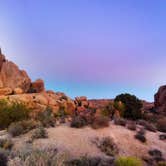 Review photo of Jumbo Rocks Campground — Joshua Tree National Park by Carly O., May 16, 2018