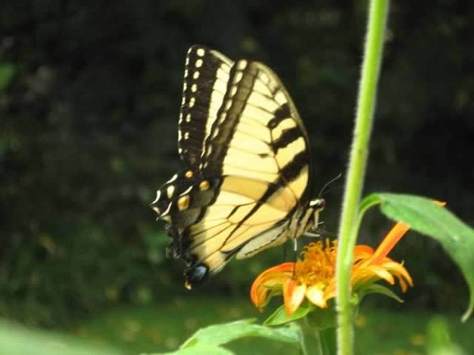 Camper-submitted photo at Chattahoochee Bend State Park Campground near Chattahoochee Hills, GA