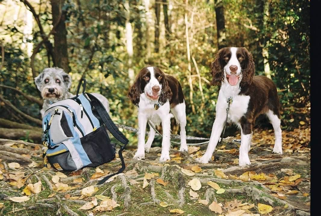 Camper-submitted photo at Chattahoochee Bend State Park Campground near Chattahoochee Hills, GA