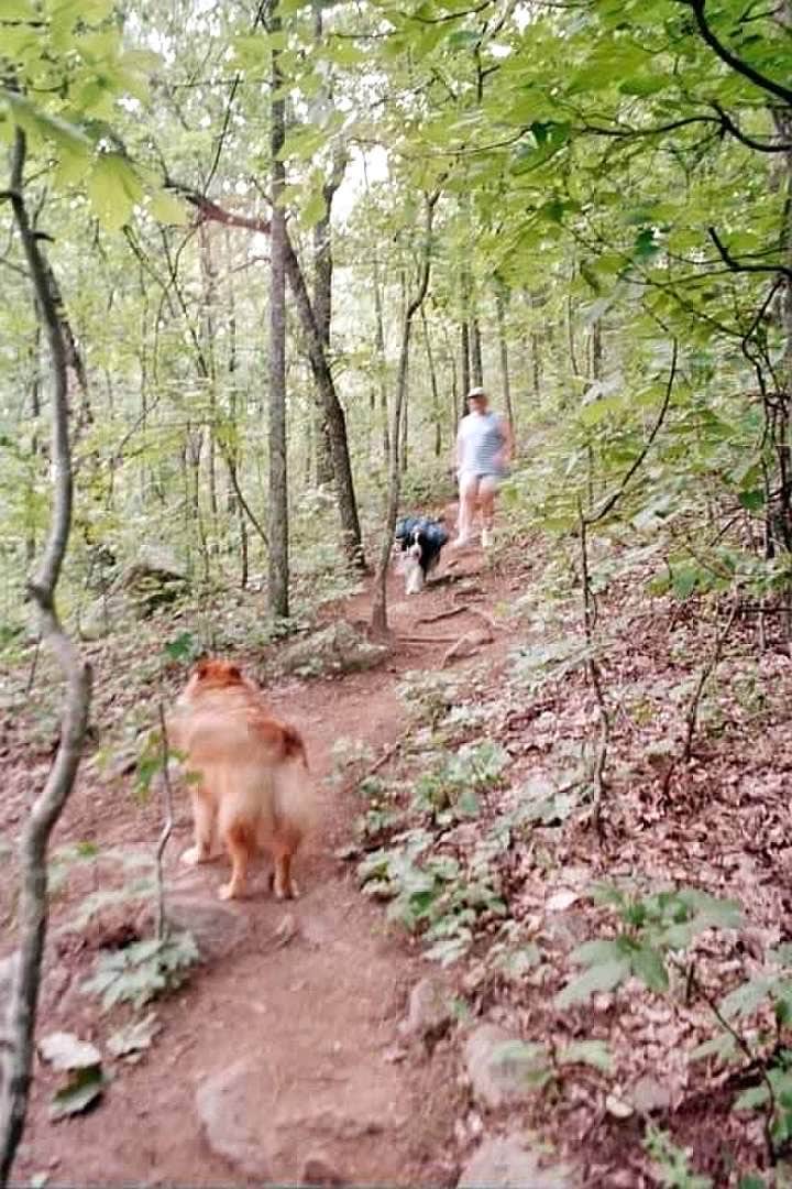 Joel R.'s photo of camping with pets at Chattahoochee Bend State Park Campground near Newnan, GA