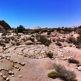 Review photo of Jumbo Rocks Campground — Joshua Tree National Park by Carly O., May 16, 2018