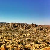 Review photo of Jumbo Rocks Campground — Joshua Tree National Park by Carly O., May 16, 2018