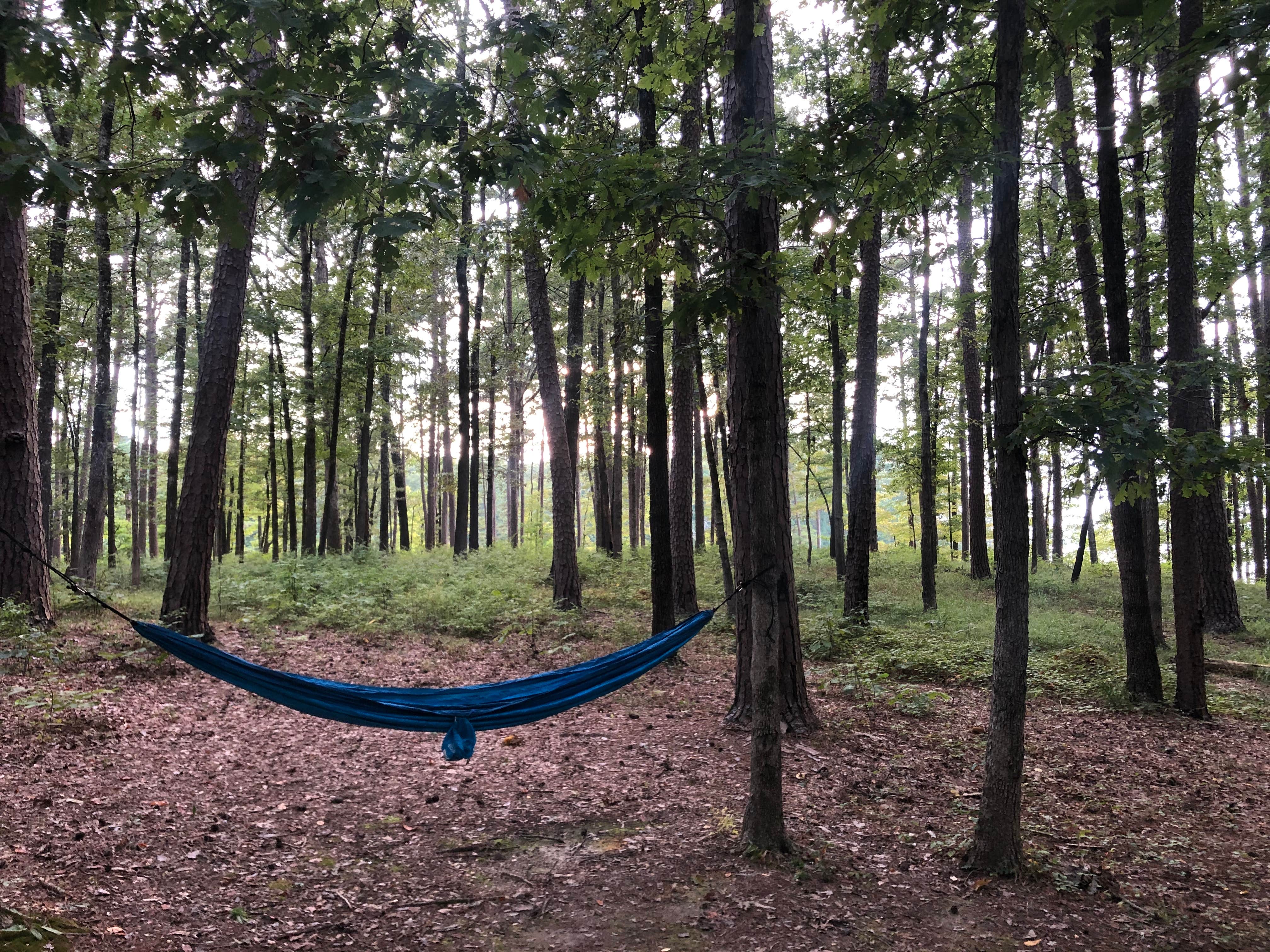 Camper submitted image from Denby Point - 3