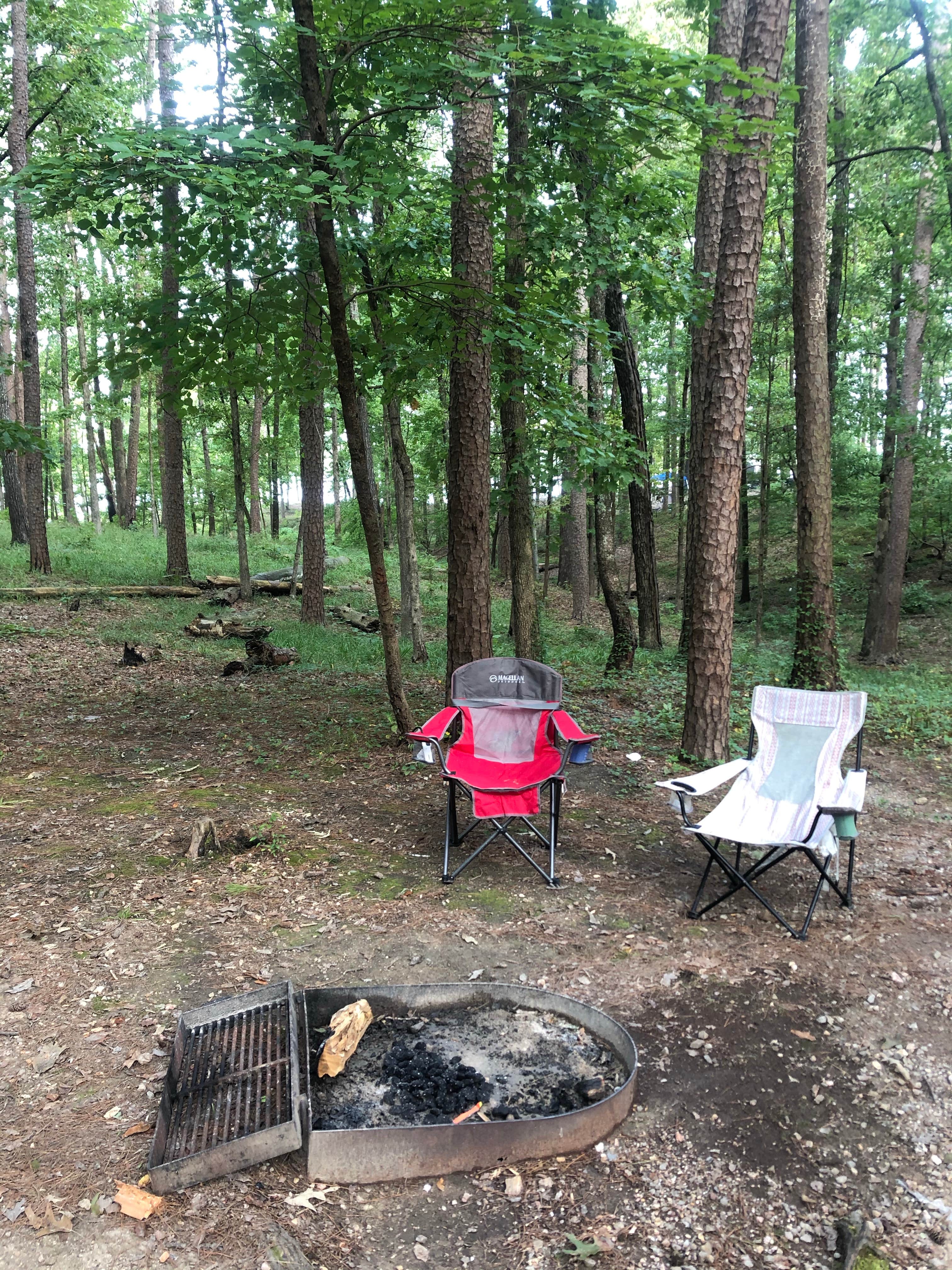 Taylor A.'s photo at Denby Point near Oden, AR