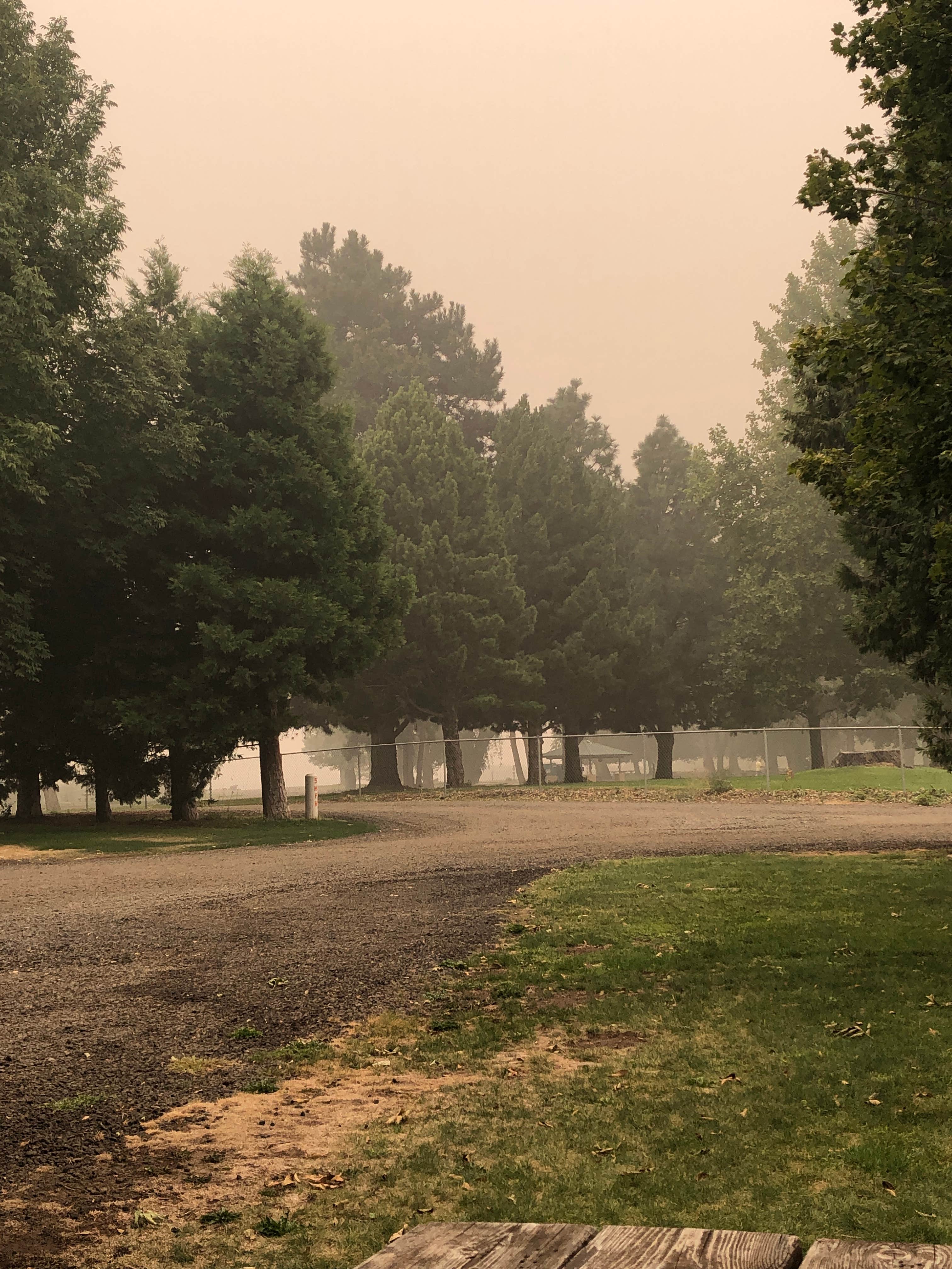 Camper-submitted photo at Peach Beach RV Park on the Columbia near Moro, OR