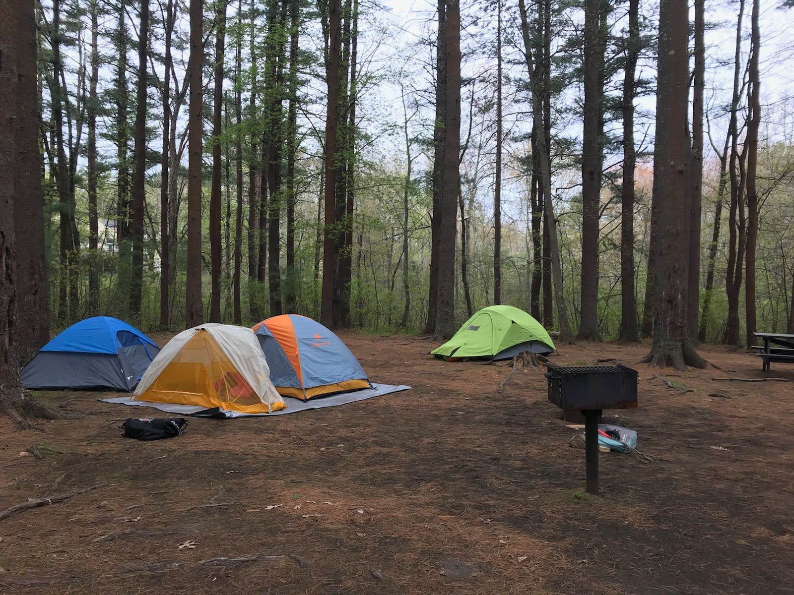 Camper submitted image from Lorraine Park Campground — Harold Parker State Forest - 4