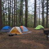 Review photo of Lorraine Park Campground — Harold Parker State Forest by Sable W., May 16, 2018