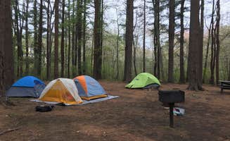Sable W.'s photo at Lorraine Park Campground — Harold Parker State Forest near Nahant, MA