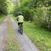 Review photo of Greenbrier River Trail Mile Post 49.3 Primitive Campsite by Dave V., September 12, 2020