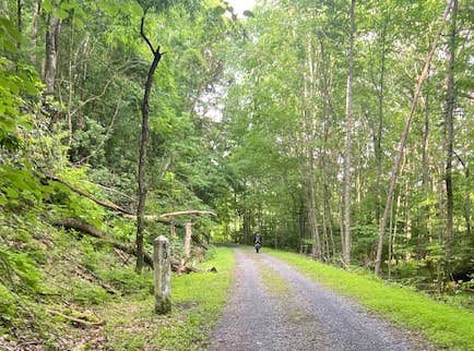 Camper submitted image from Greenbrier River Trail Mile Post 49.3 Primitive Campsite - 2