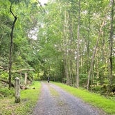 Review photo of Greenbrier River Trail Mile Post 49.3 Primitive Campsite by Dave V., September 12, 2020