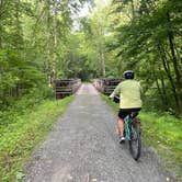 Review photo of Greenbrier River Trail Mile Post 49.3 Primitive Campsite by Dave V., September 12, 2020