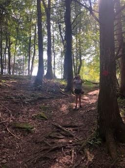 Camper-submitted photo at Little Beaver State Park Campground near Herndon, WV