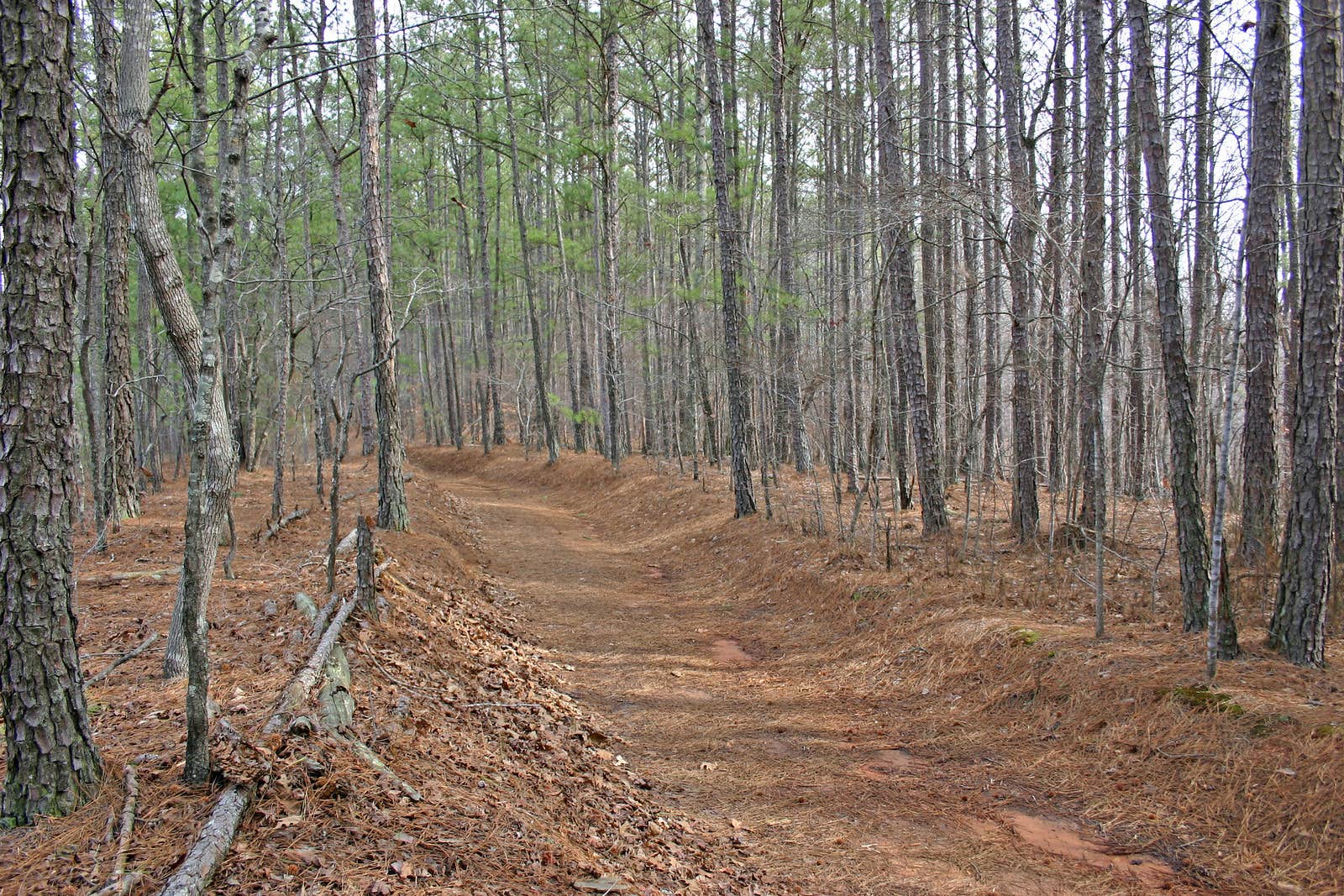 Picketts Mill Battlefield State Historic Site Camping Acworth, GA