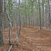 Review photo of Picketts Mill Battlefield State Historic Site by Joel R., September 12, 2020