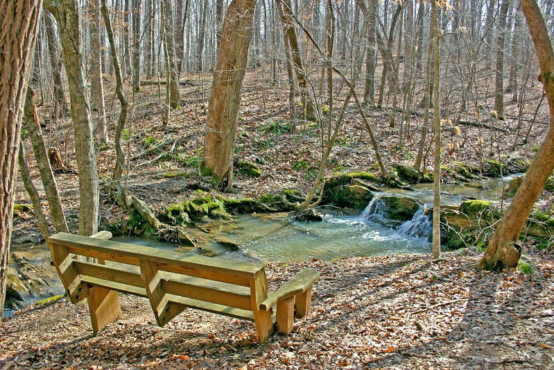 Camper submitted image from Picketts Mill Battlefield State Historic Site - 1